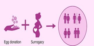 surrogacy