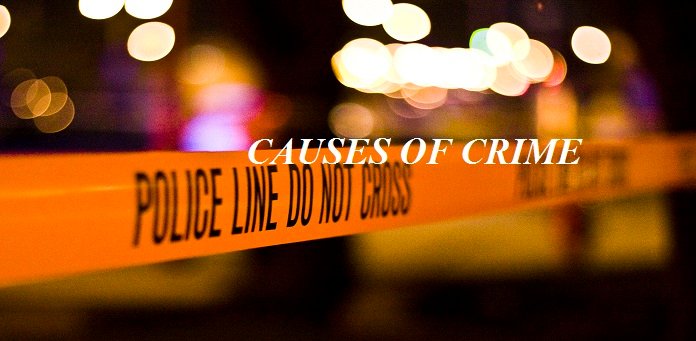 causes of crime