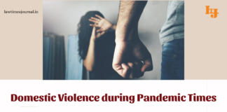 Domestic Violence during Pandemic Times