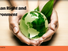 Human rights and environmental law