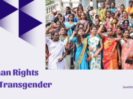 Human Rights and Transgender