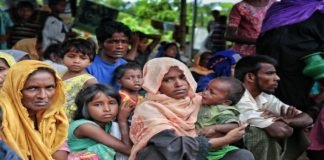 Transporting Rohingyas are more likely to torture them or death