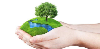 Environmental Duties and Obligations