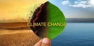 climate change