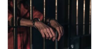 In Pending Appeals 50% of Sentence Completion Can be Basis for Bail Grant