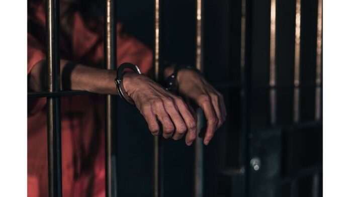 In Pending Appeals 50% of Sentence Completion Can be Basis for Bail Grant In Pending Appeals 50% of Sentence Completion Can be Basis for Bail Grant